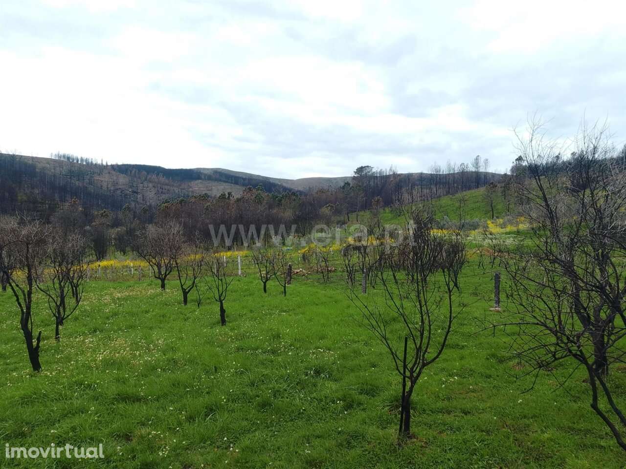 Quintinha T1 / Covilhã, Erada - Grande imagem: 2/16