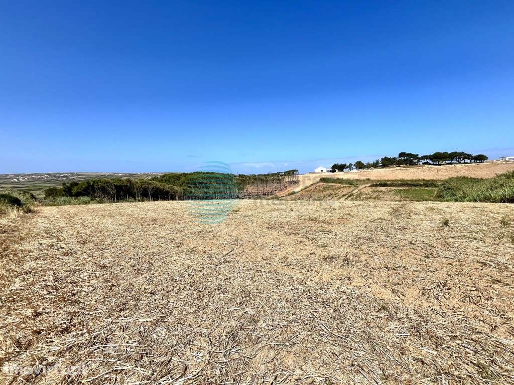 Terreno agrícola localizado perto da Praia Azul - Grande imagem: 5/8