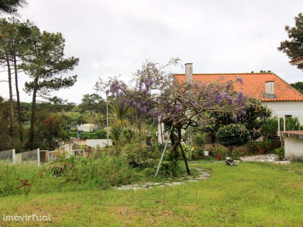 Casa de Madeira, em lote com 400m2, na Lagoa de Albufeira - Sesimbra - Grande imagem: 5/40