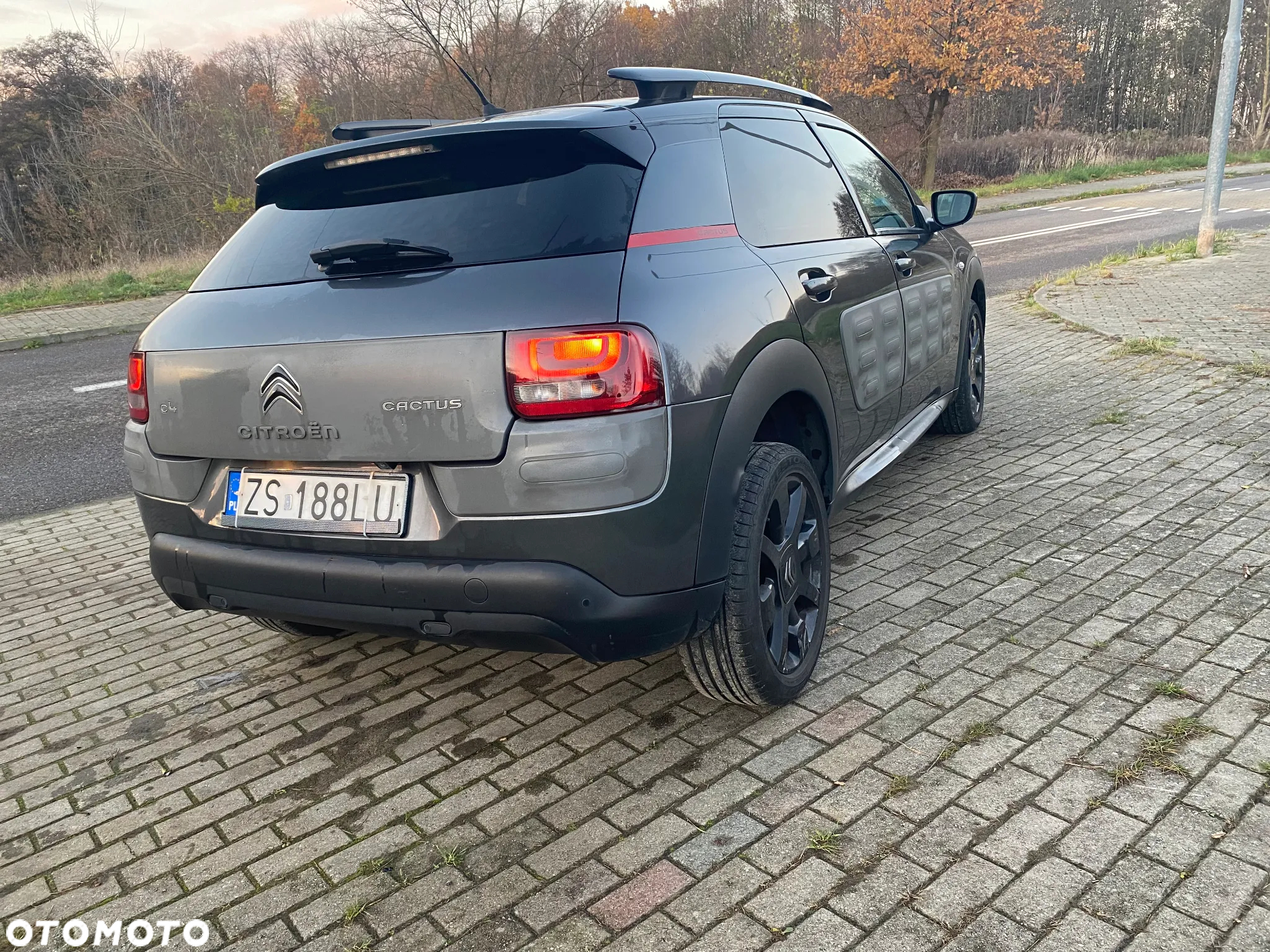 Citroën C4 Cactus 1.6 Blue HDi Shine - 8