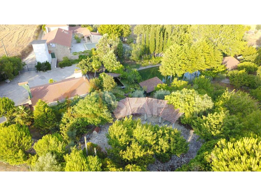 Quinta em Santarém - Grande imagem: 3/47