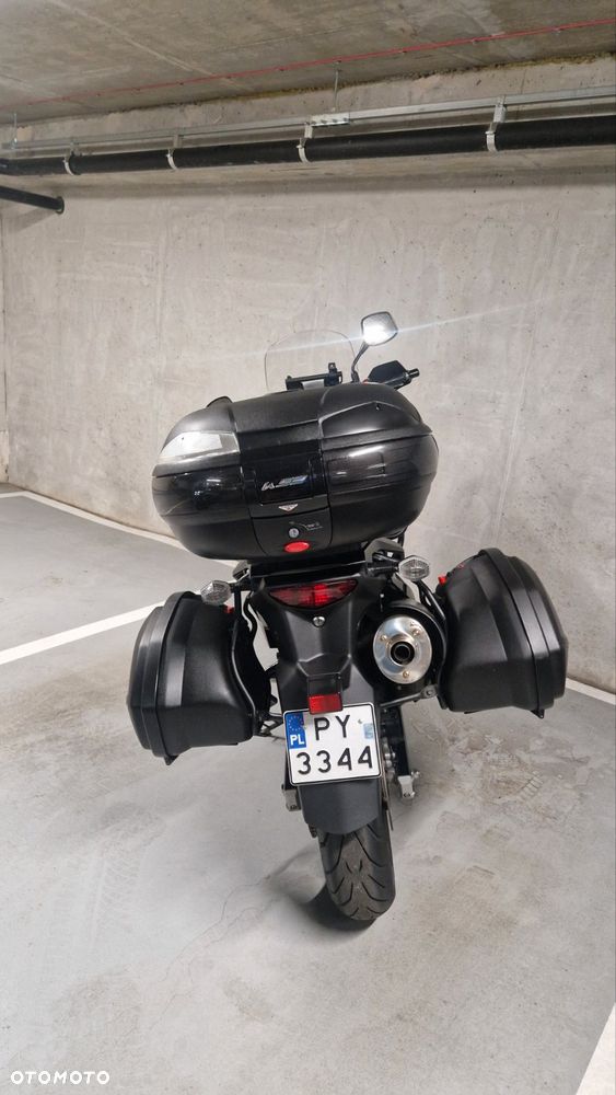 Suzuki DL - 11