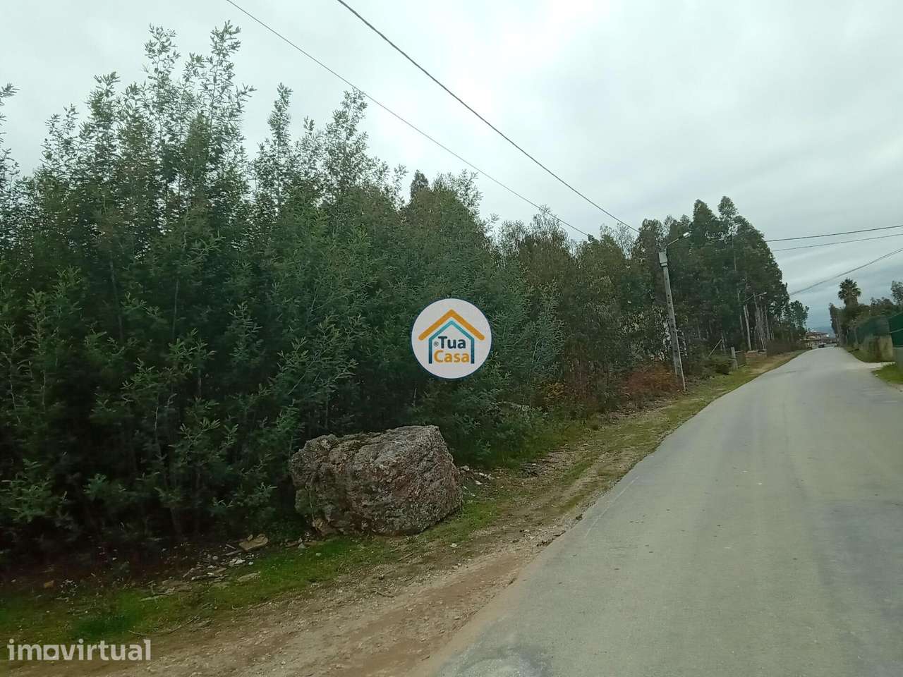 Terreno rústico com viabilidade de construção em Águeda - Grande imagem: 5/16