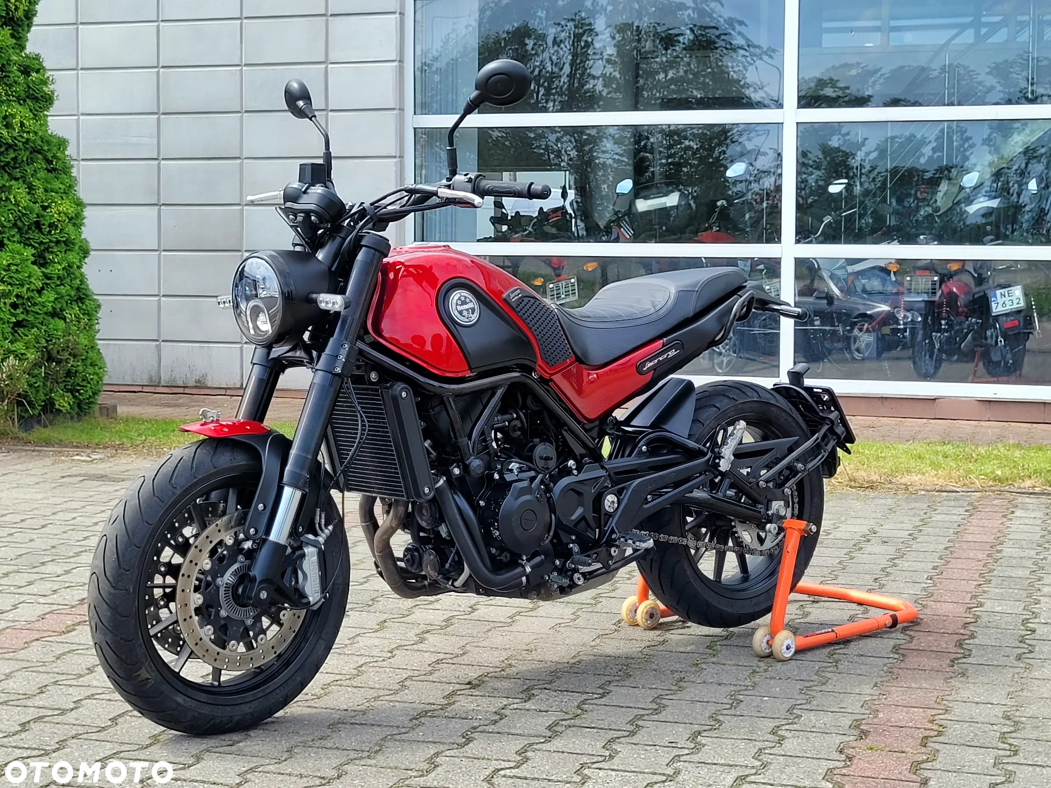 Benelli Leoncino - 25