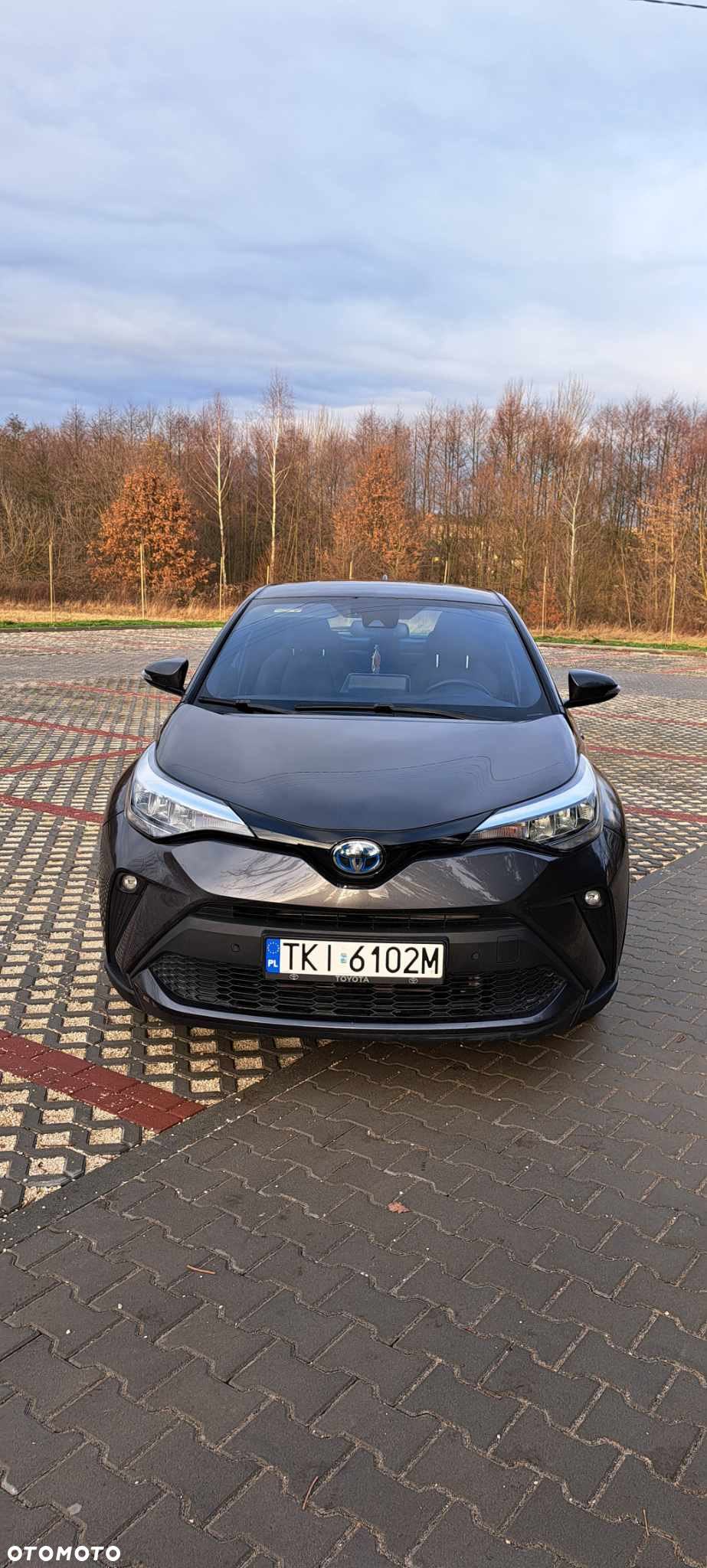 Toyota C-HR - 4