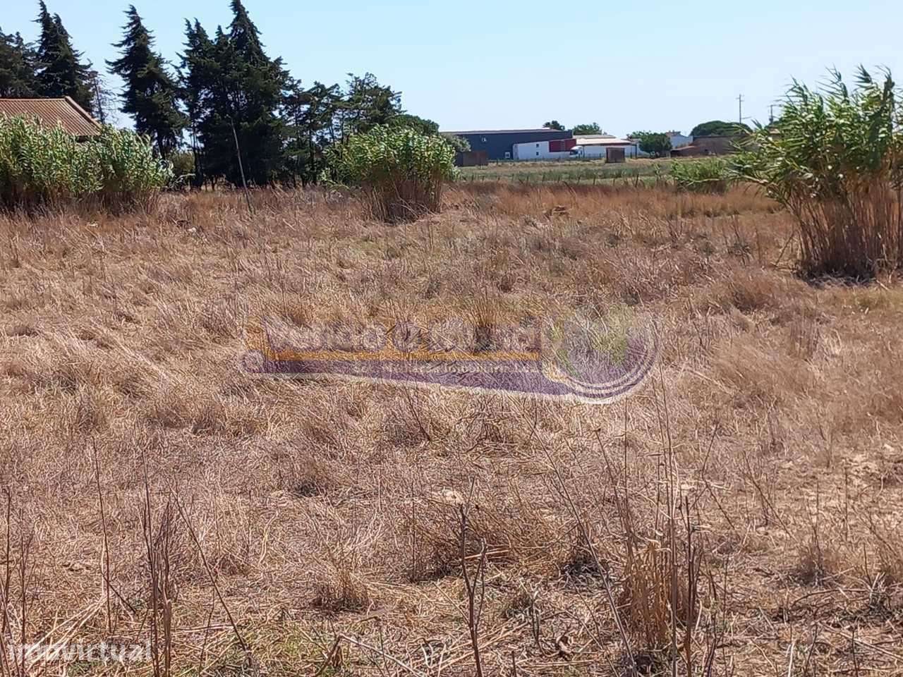 Terreno na Coutada Velha (B547) - Grande imagem: 3/11