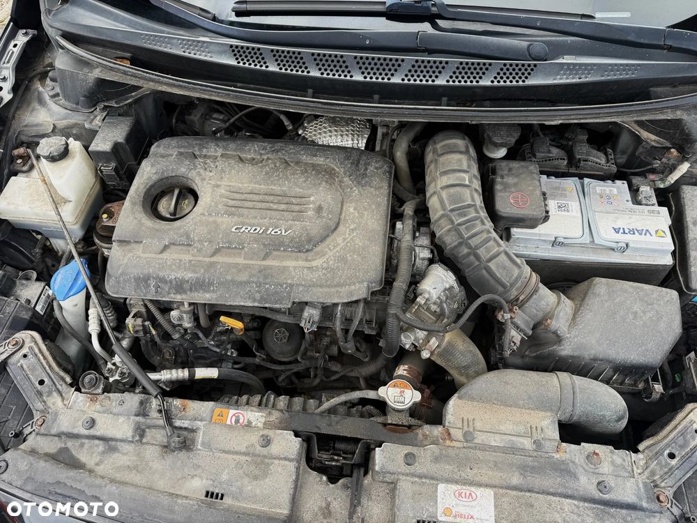 Kia Ceed 1.6 CRDi 136 ISG Platinum Edition - 15