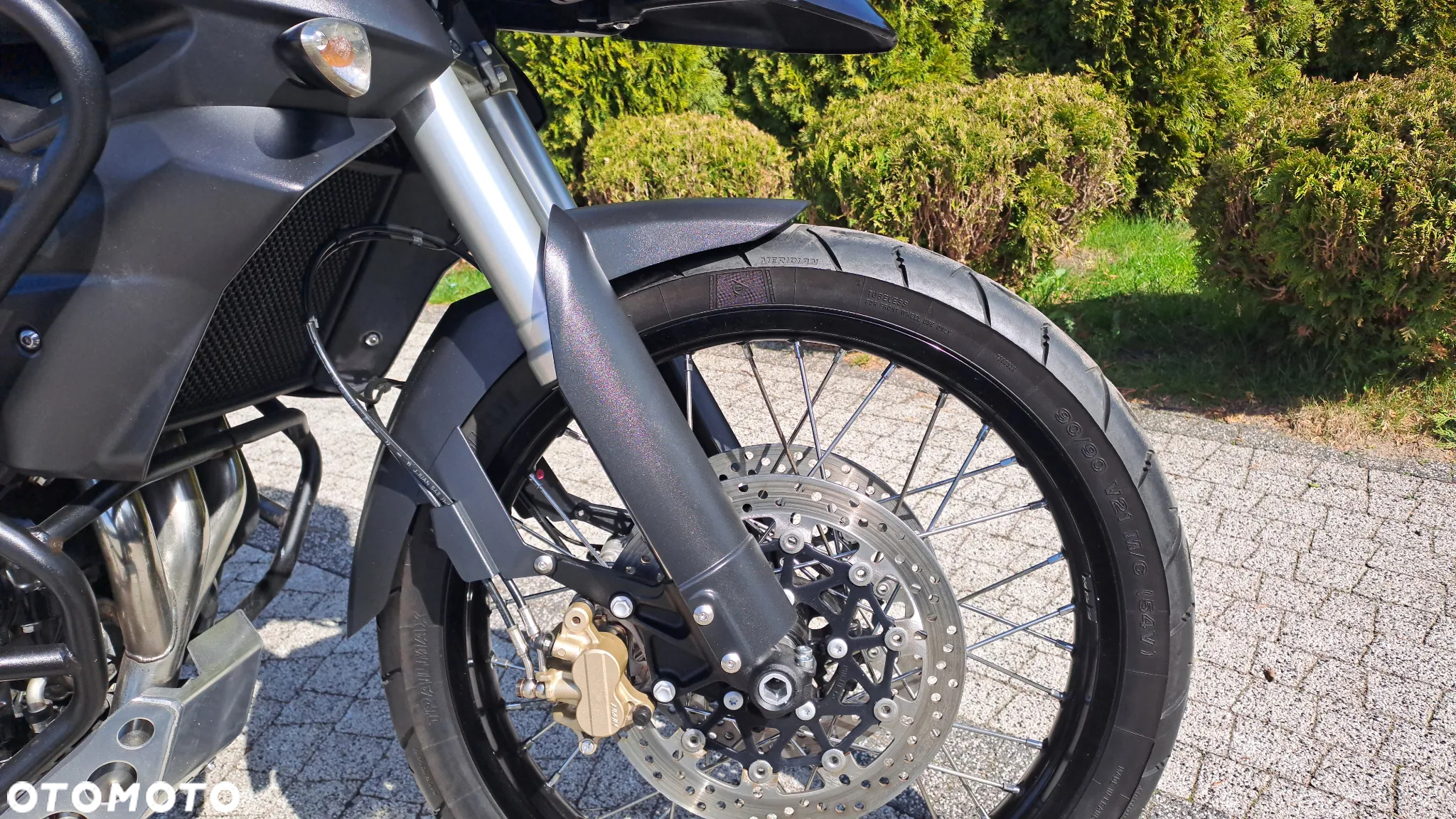 Triumph Tiger - 8