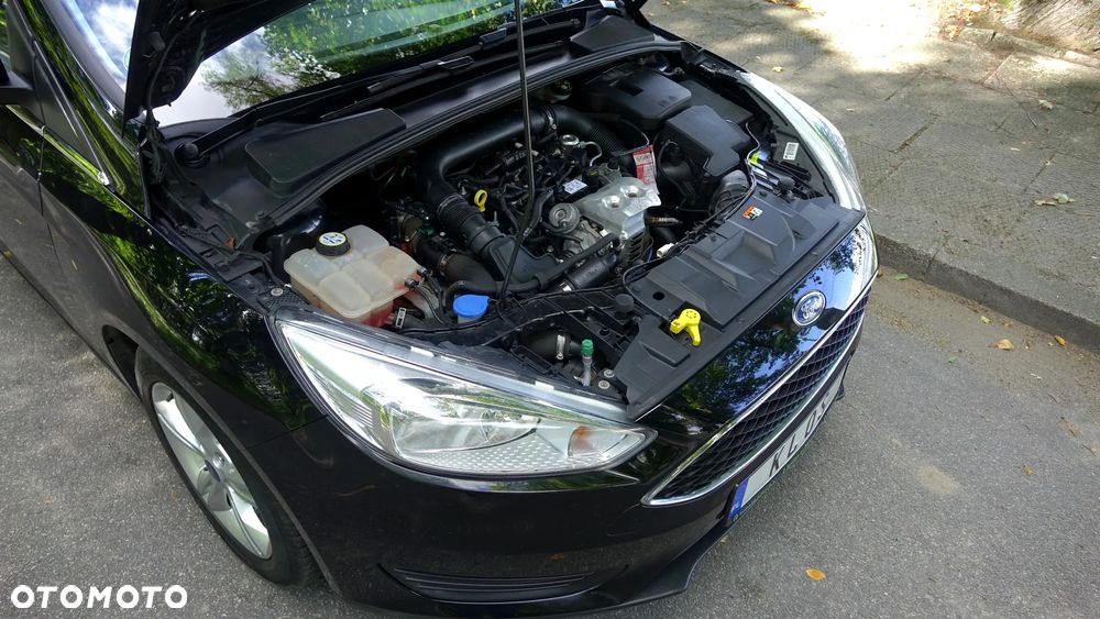 Ford Focus - 38