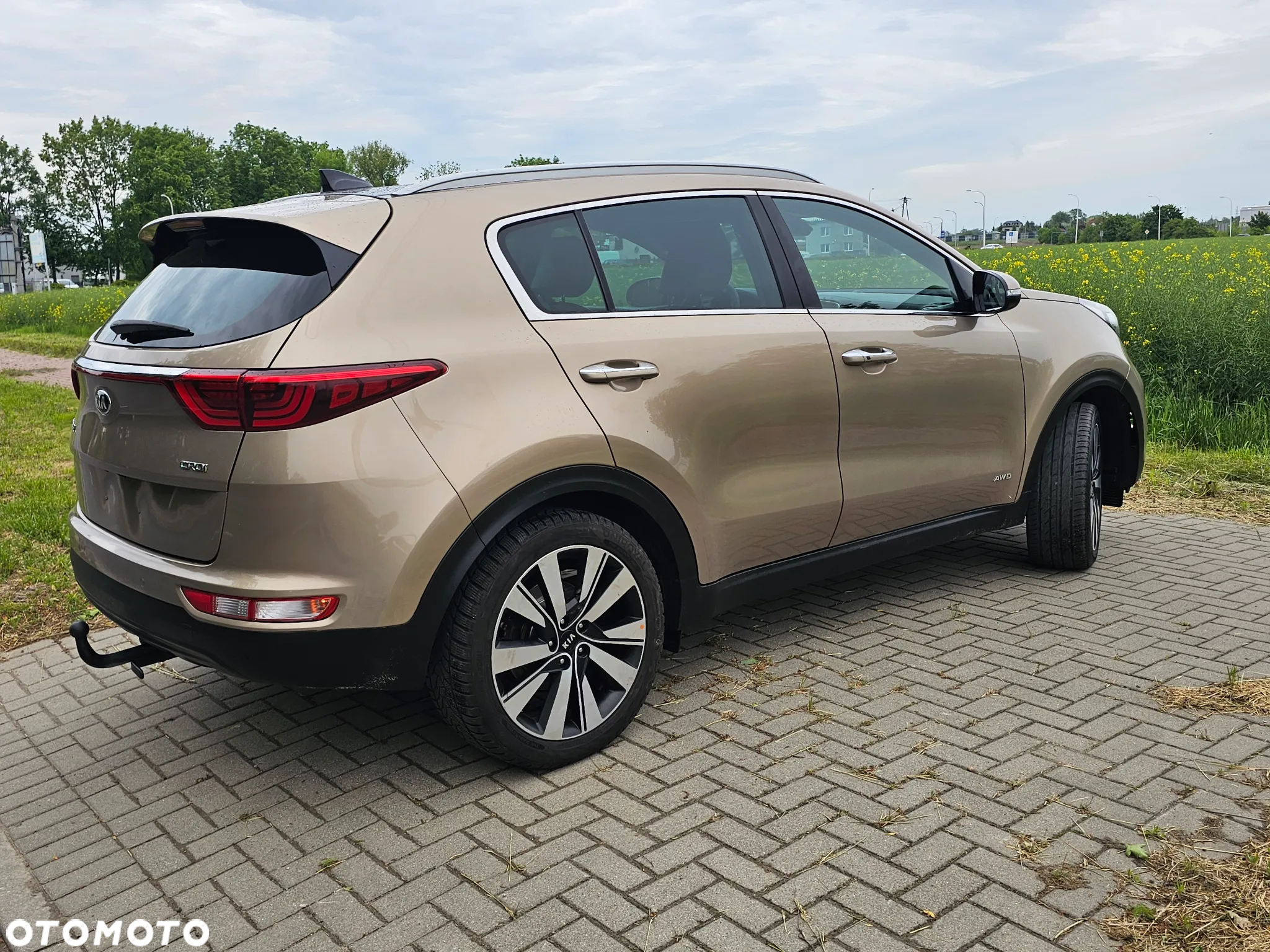 Kia Sportage 2.0 CRDI Business Line 4WD - 12