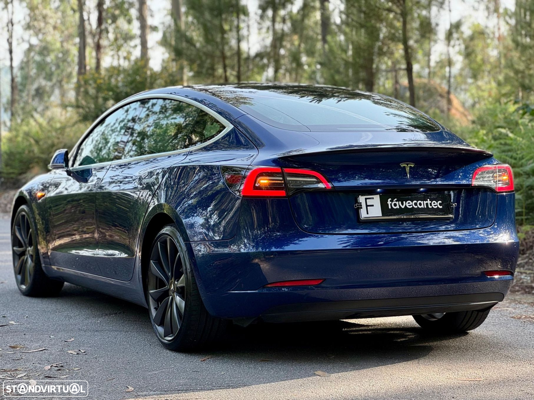 Tesla Model 3 Performance Dual Motor AWD - 25