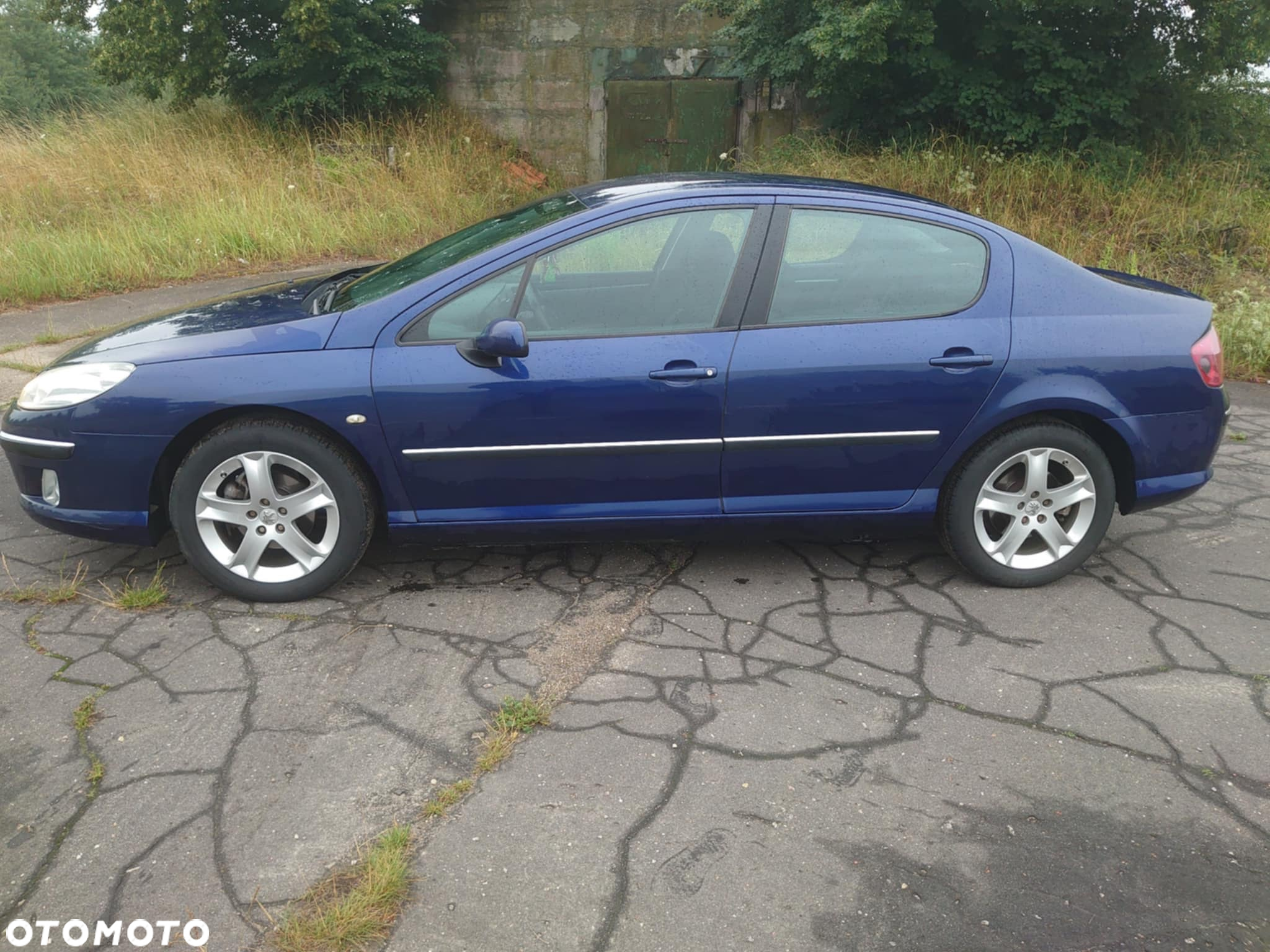 Peugeot 407 2.0 SV Executive - 2