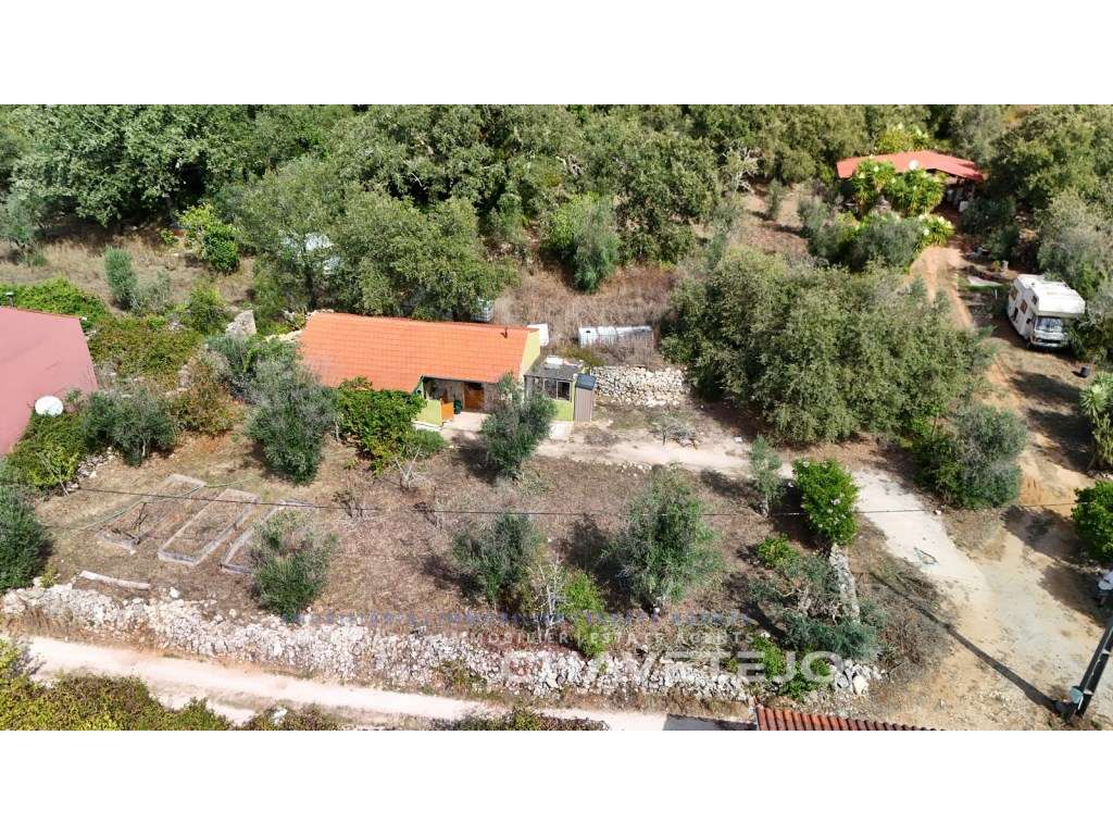 Casa de campo com terreno, habitação principal estúdio + 1 quarto i... - Grande imagem: 5/38