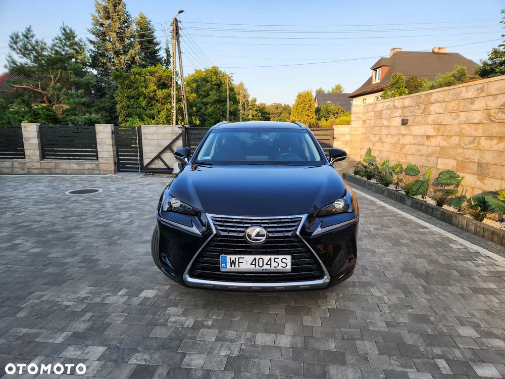 Lexus NX 300 Comfort AWD - 8
