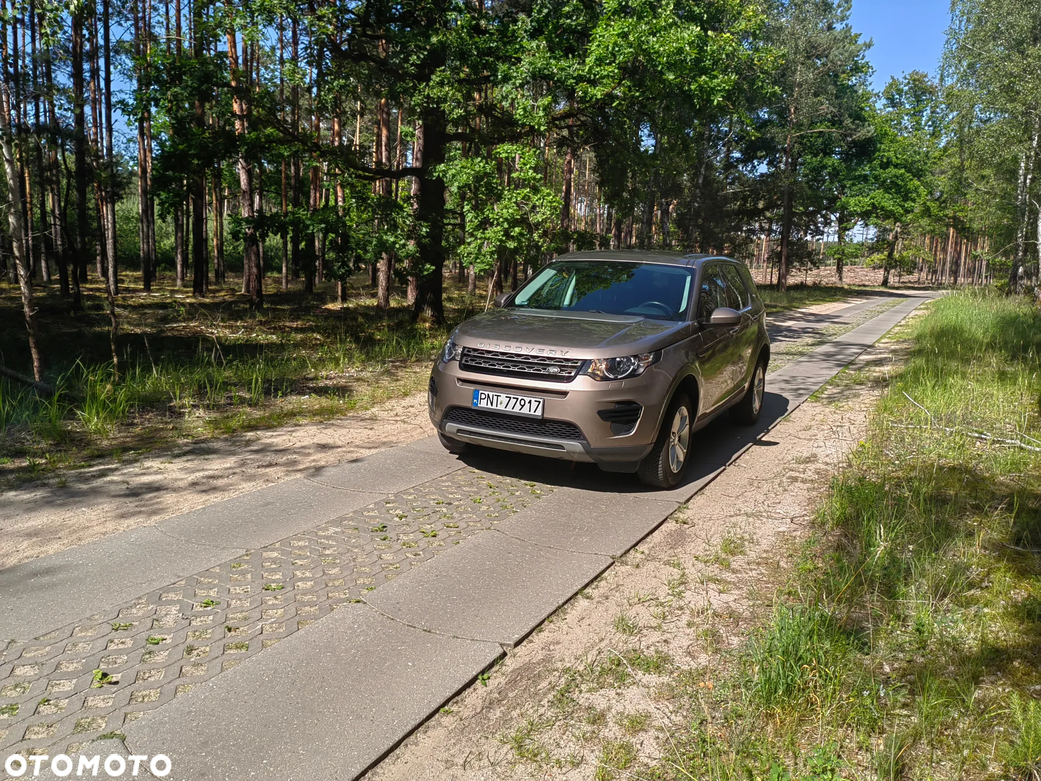 Land Rover Discovery Sport 2.0 TD4 Pure - 18