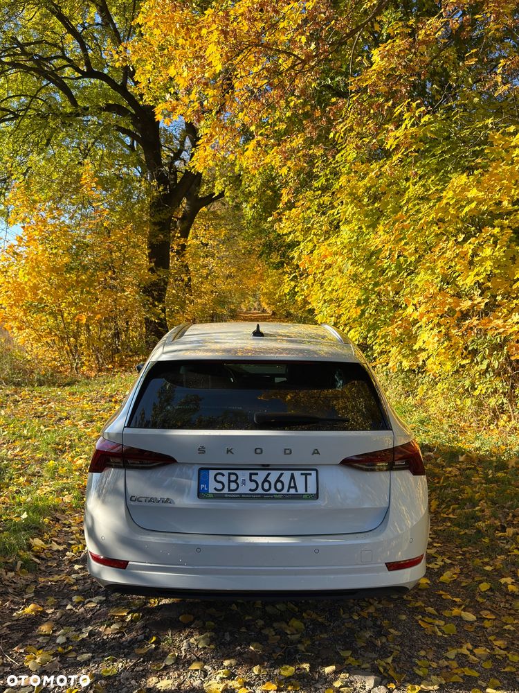 Skoda Octavia 2020 photo 3