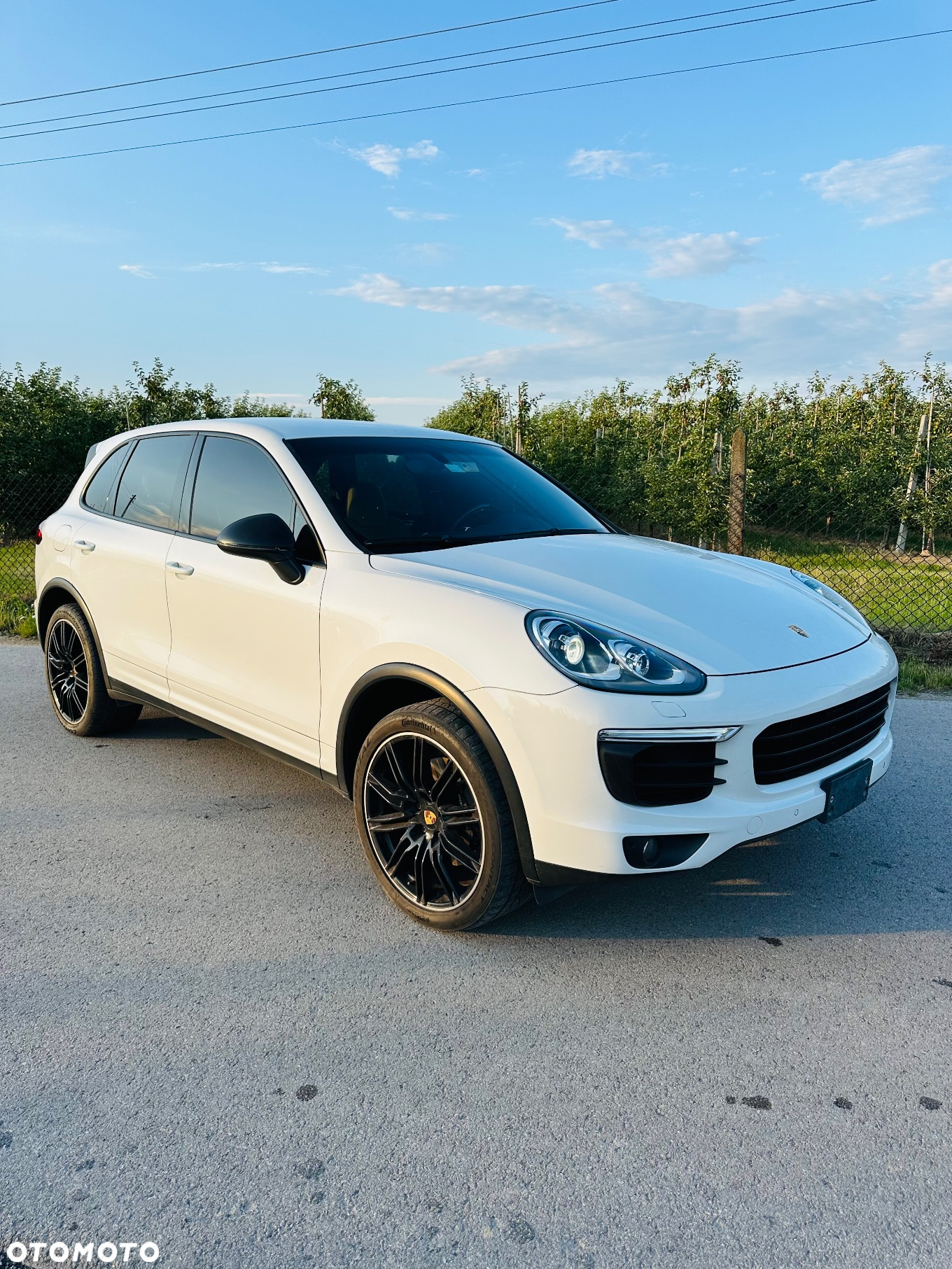 Porsche Cayenne - 3