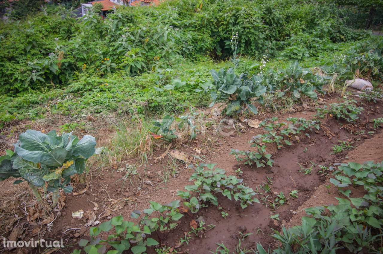 Terreno para Construção - Grande imagem: 4/11