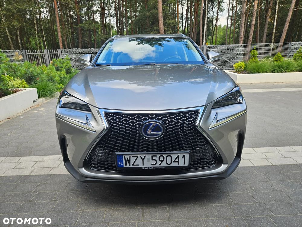 Lexus NX 300h Prestige AWD - 6