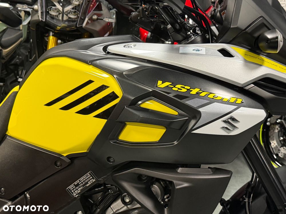 Suzuki V-STROM - 18