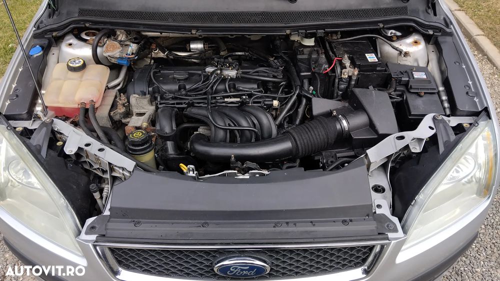 Ford Focus 1.6i Ghia - 15