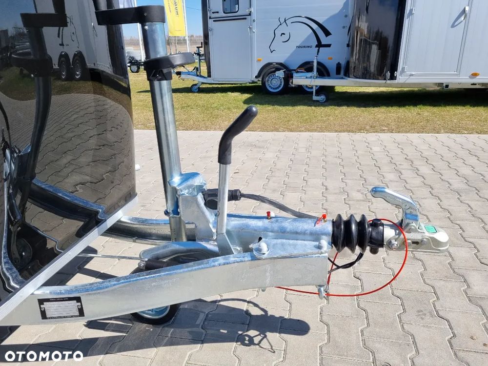 Cheval Liberte Gold 3 - 7