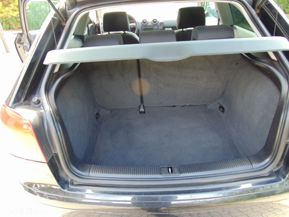 Audi A3 3-drzwiowe 1.9 TDI DPF Ambition - 11
