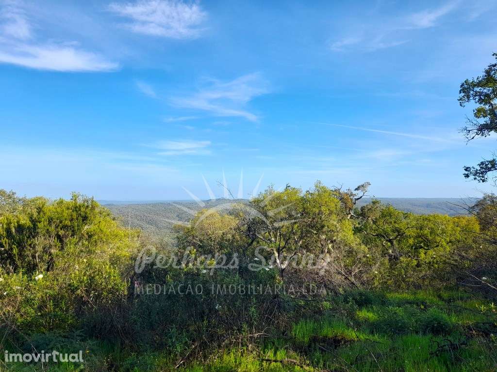 Terreno Rústico Grândola - Grande imagem: 2/25