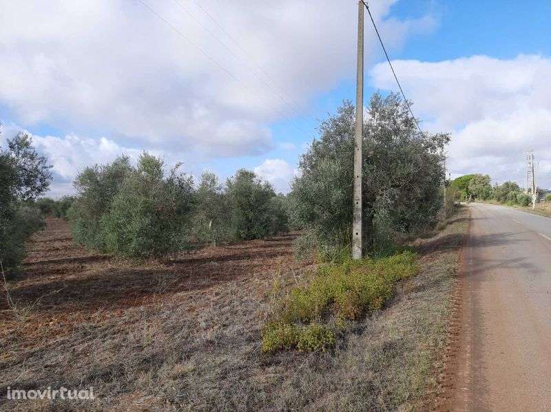 Monte Alentejano para venda! Excelente oportunidade! - Grande imagem: 4/6