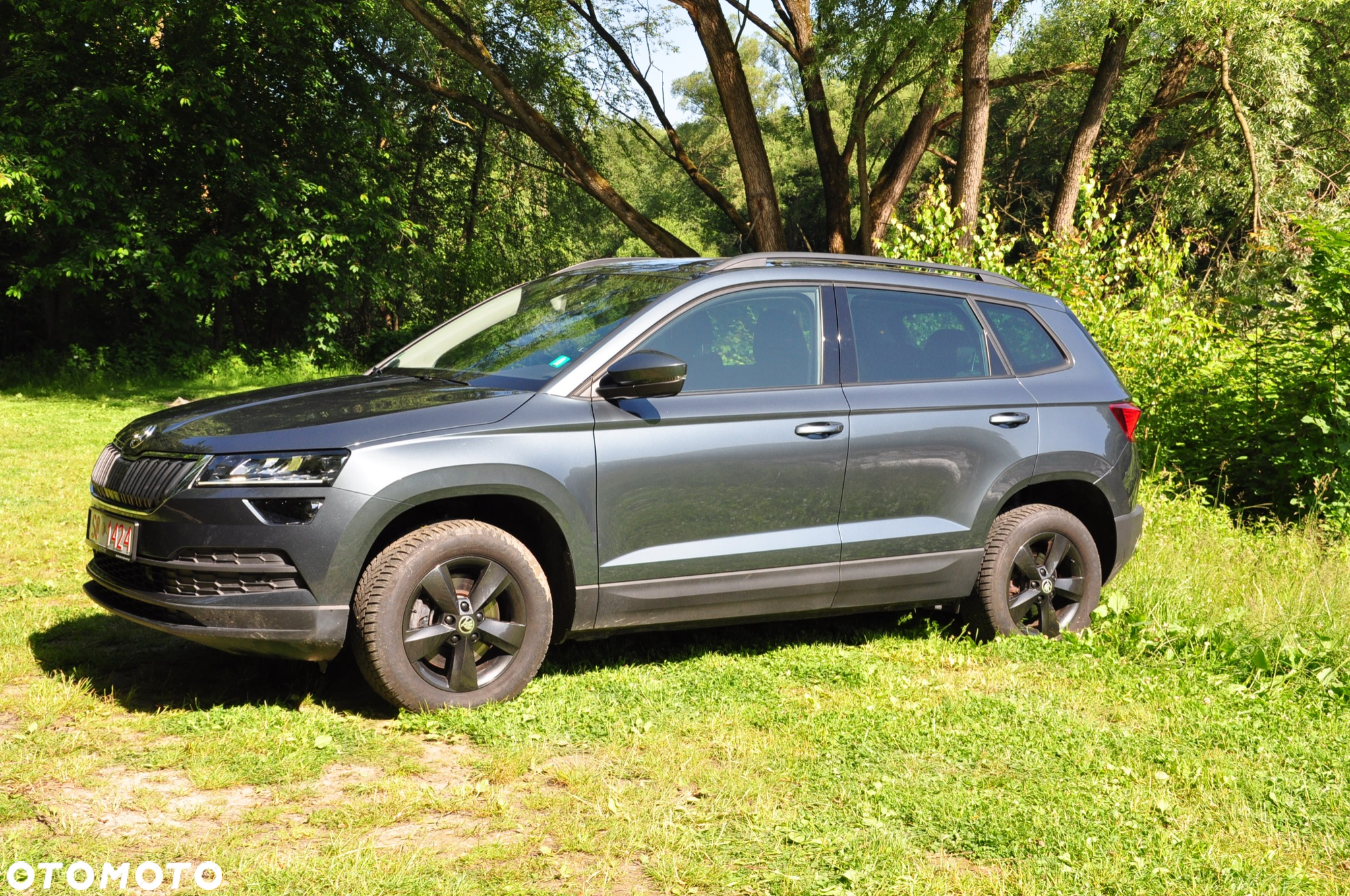 Skoda Karoq 2.0 TDI 4x4 DSG Drive - 2