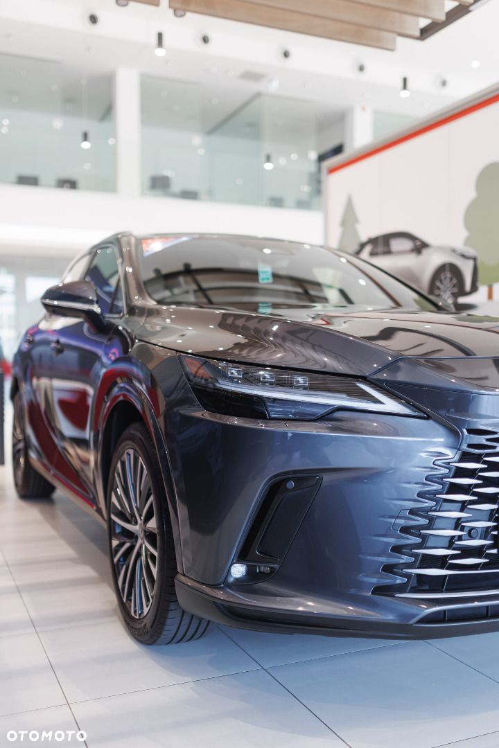 Lexus RX - 17