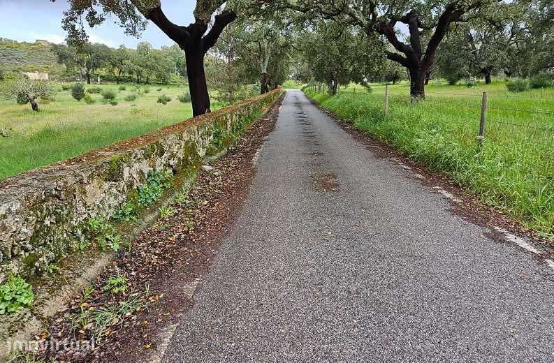 Quinta a 2Kms da cidade Castelo Branco 12,69 Hectares - Grande imagem: 4/8