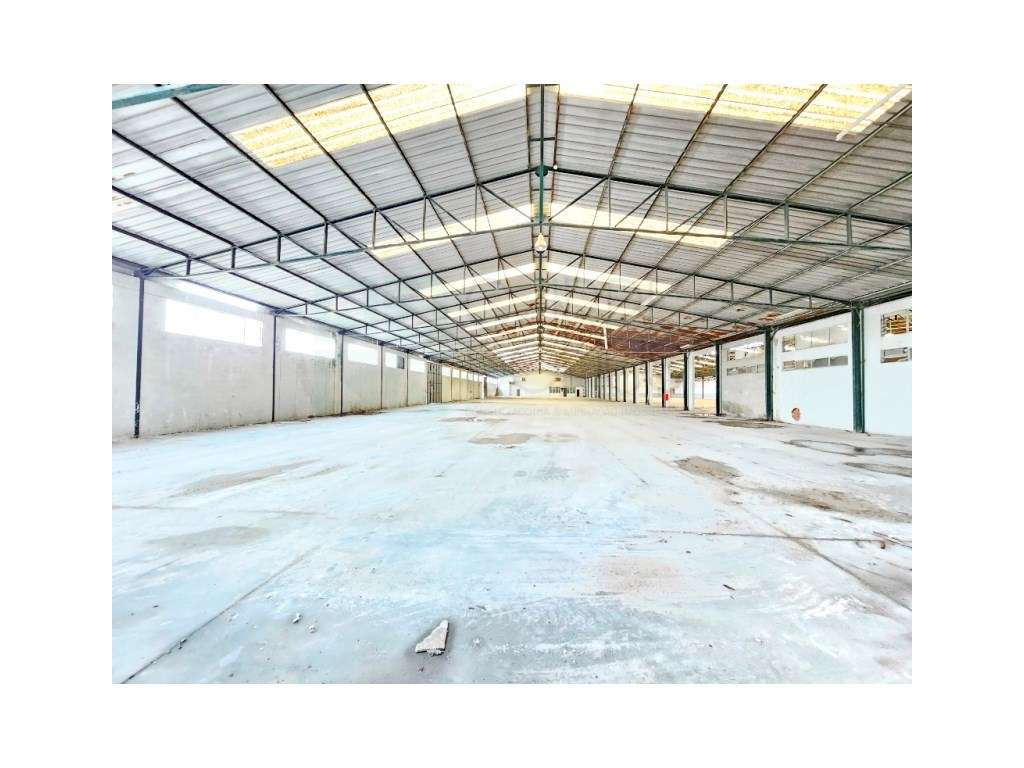 Armazém Industrial com 12.000m2, em Torres Novas, Santarém - Grande imagem: 2/60