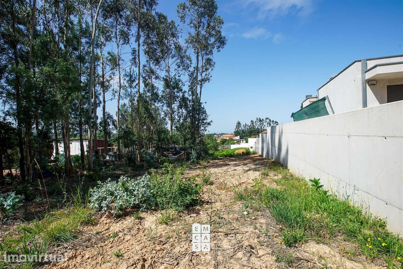 Terreno Para Construção  Venda em São Miguel do Souto e Mosteirô,Santa - Grande imagem: 4/16