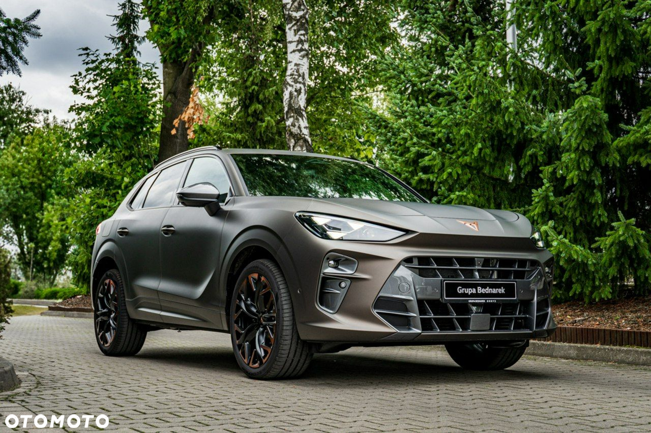 Cupra Terramar - 17