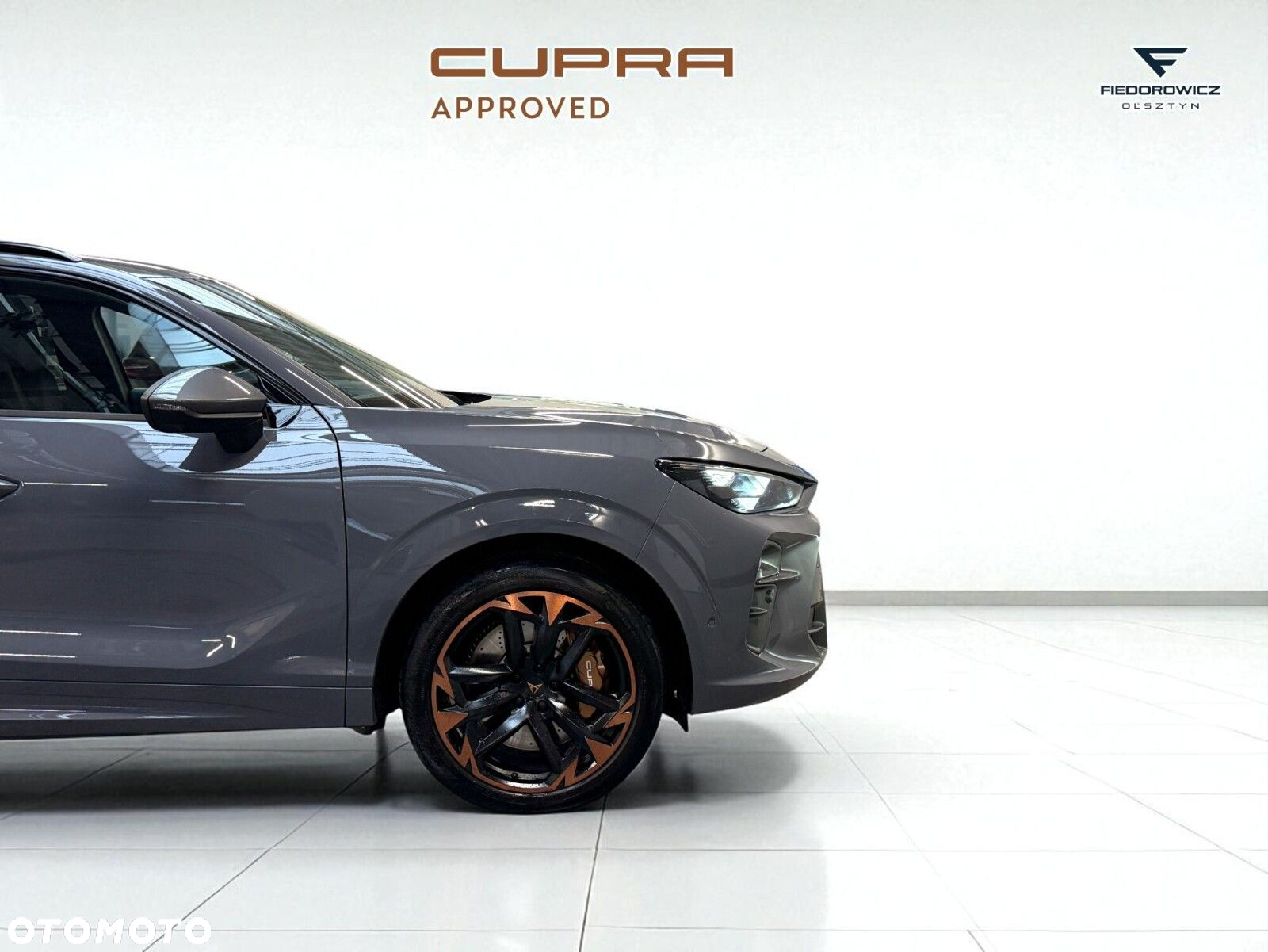 Cupra Terramar 2.0 TSI 4Drive VZ DSG - 8