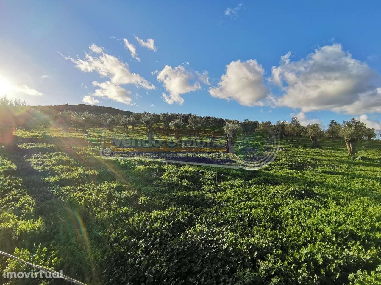 Terreno em Sousel, Portalegre (PSL001) - Grande imagem: 4/13