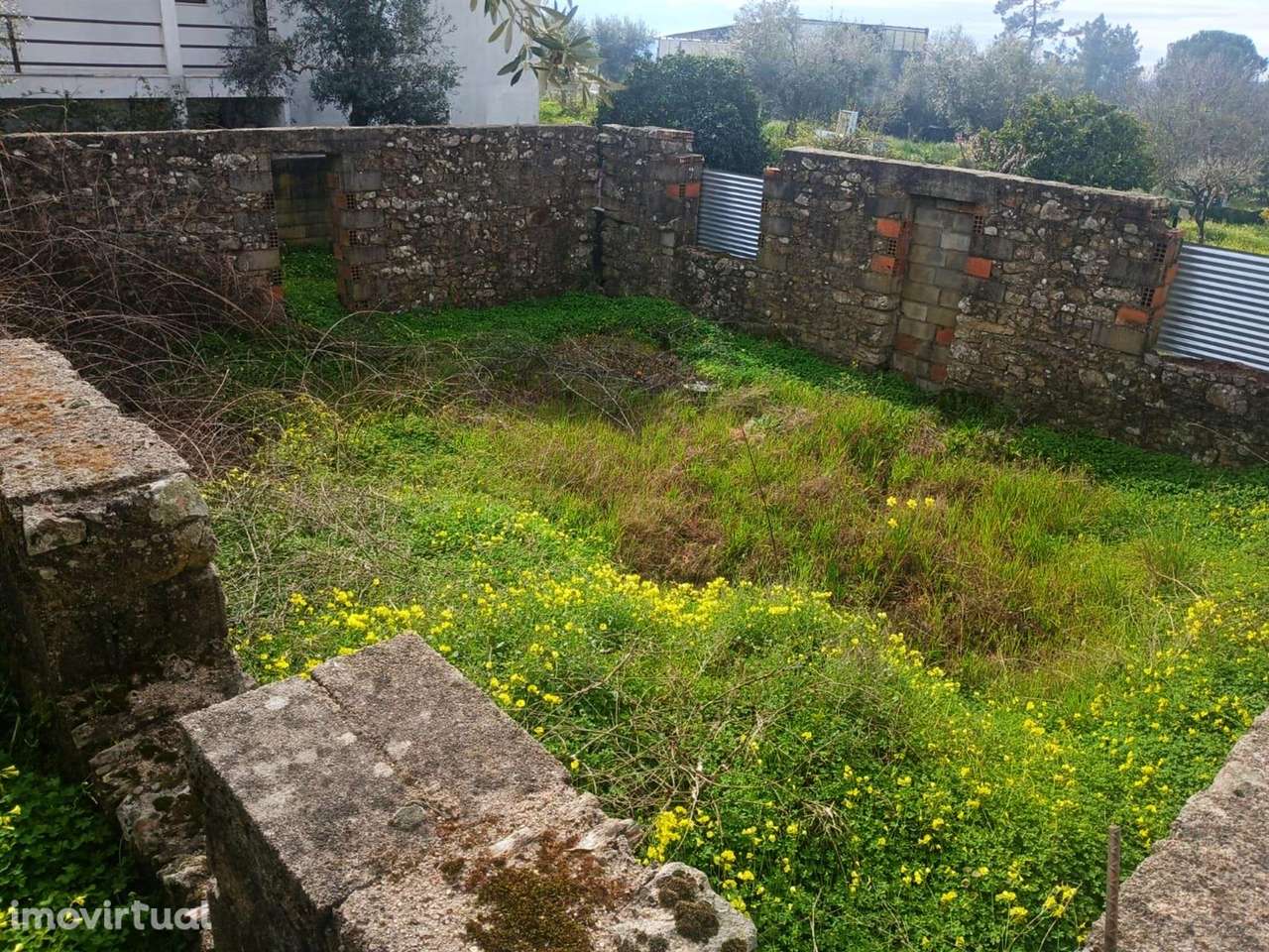 Lote - Grande imagem: 2/6