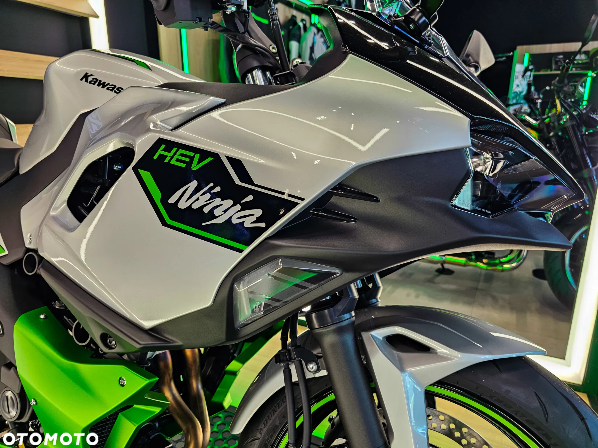 Kawasaki Ninja - 14