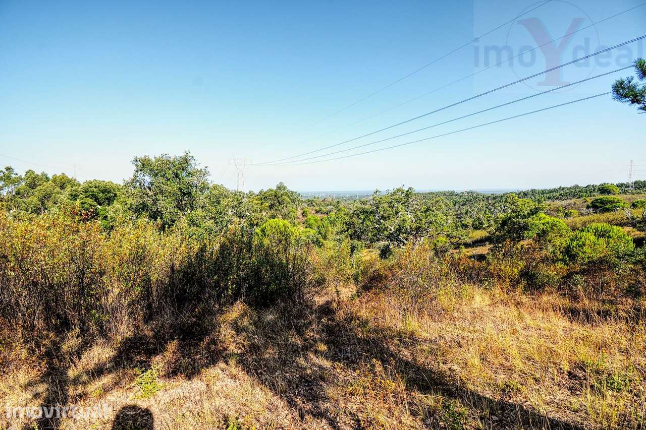 HERDADE SANTIAGO DO CACÉM - Grande imagem: 2/40