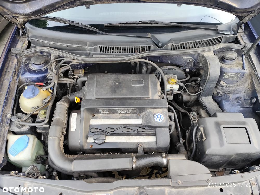 Volkswagen Golf IV 1.4 Basis - 22