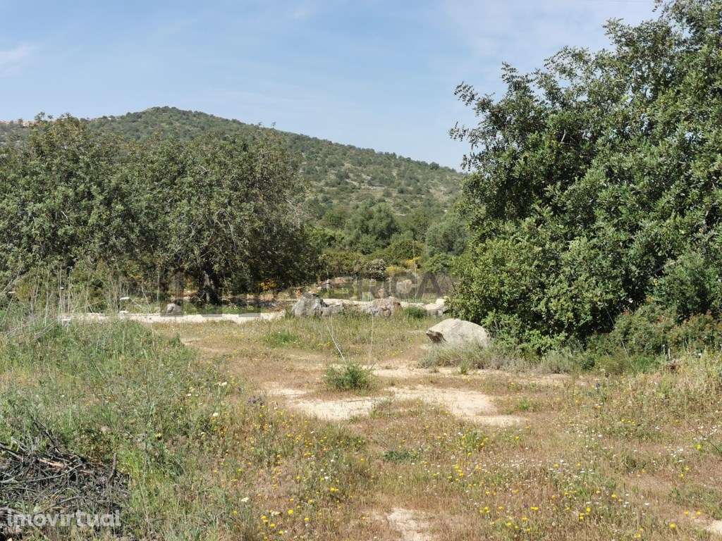 Terreno Rústico com bons acessos , entre Loulé e Boliqueime - Grande imagem: 4/14