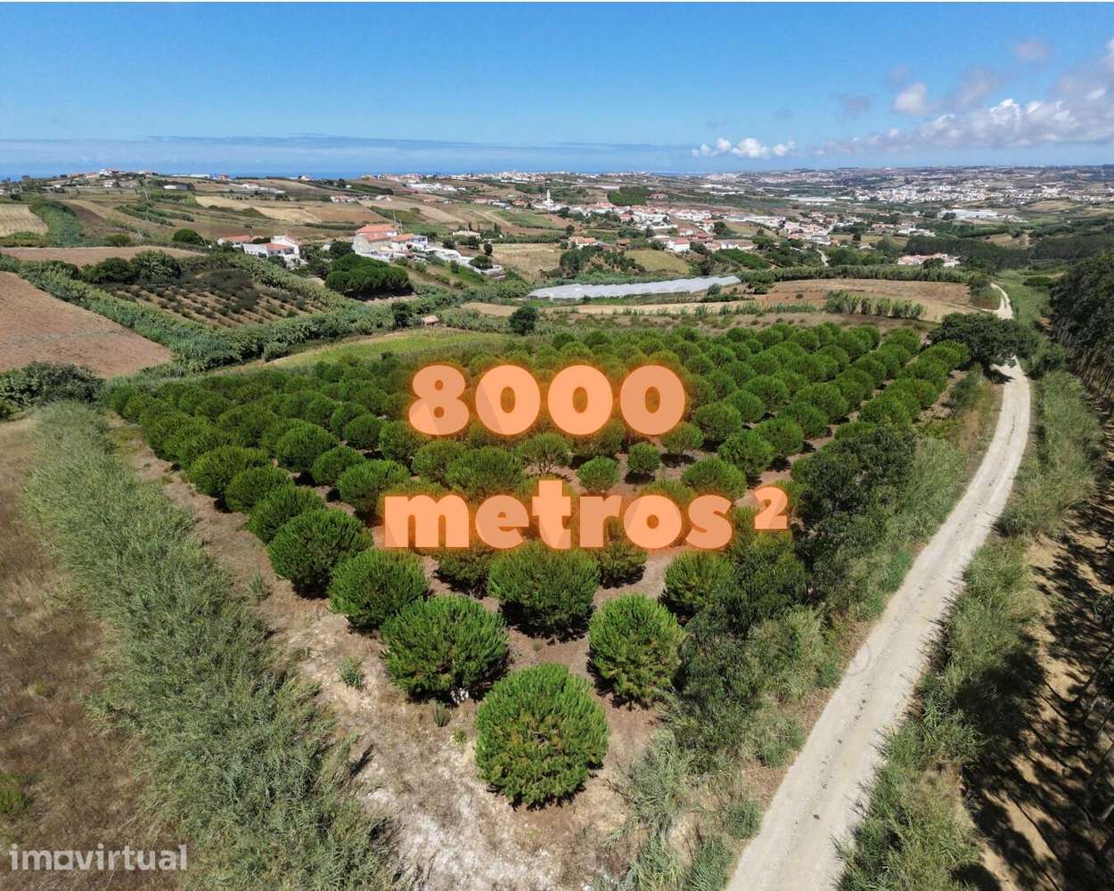 Terreno Rústico com 8.000 m2 | 188 Pinheiros Mansos | Duplo Acesso | S