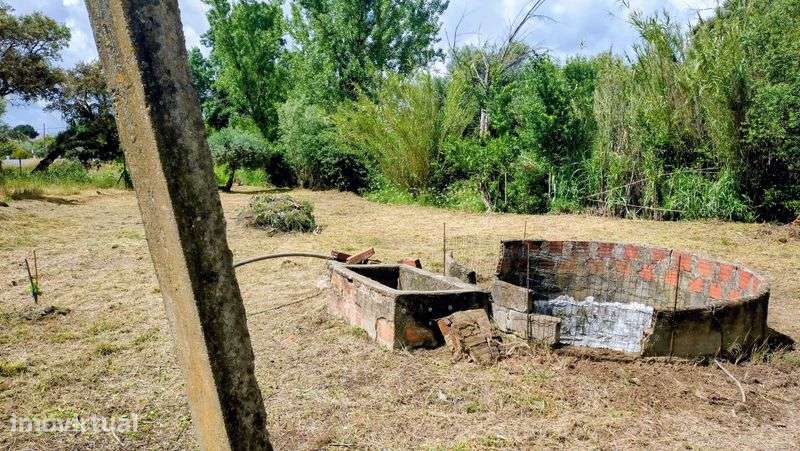 Terreno rustico 500m2 em Touloes Idanha-a-Nova - Grande imagem: 4/6