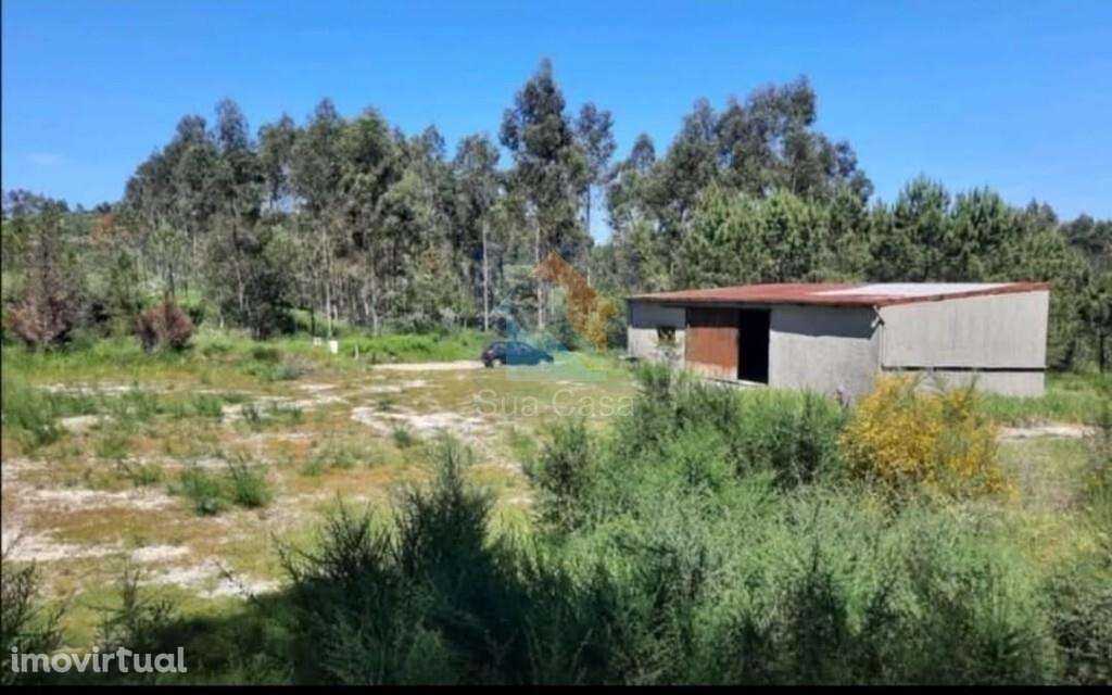 Venda Armazém - Grande imagem: 3/8