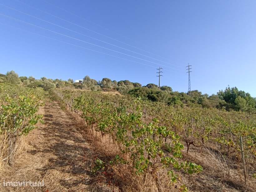 Terreno amplo em Grândola, junto Costa Alentejana - Grande imagem: 2/3