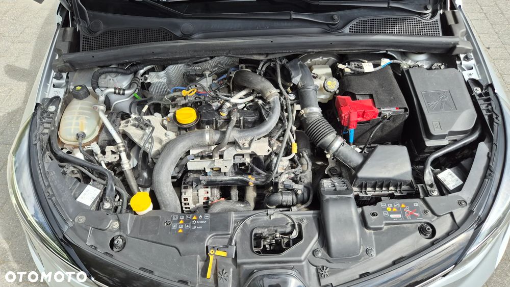 Renault Clio - 14