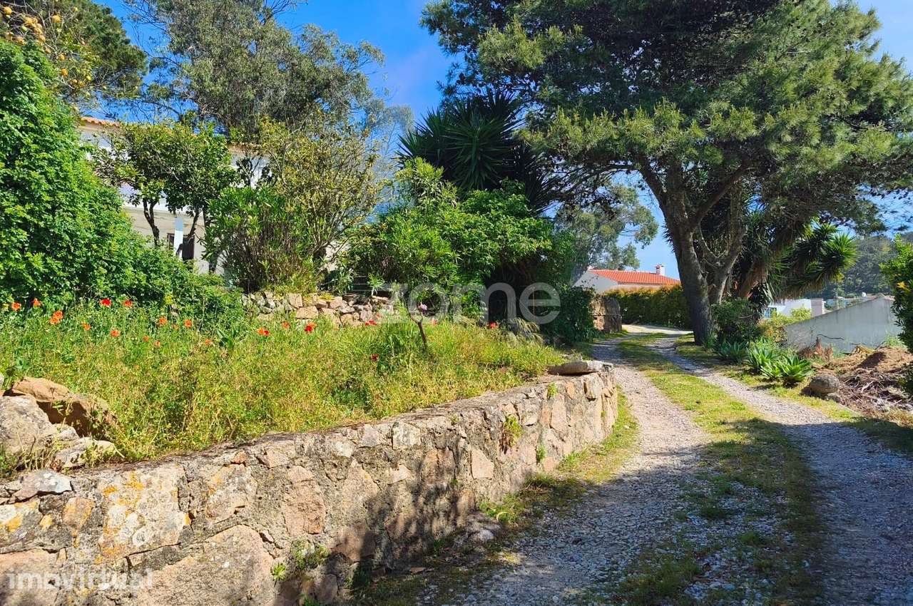 Terreno de 1.928 m² com moradia para reabilitar | Malveira da Serra - Grande imagem: 5/39