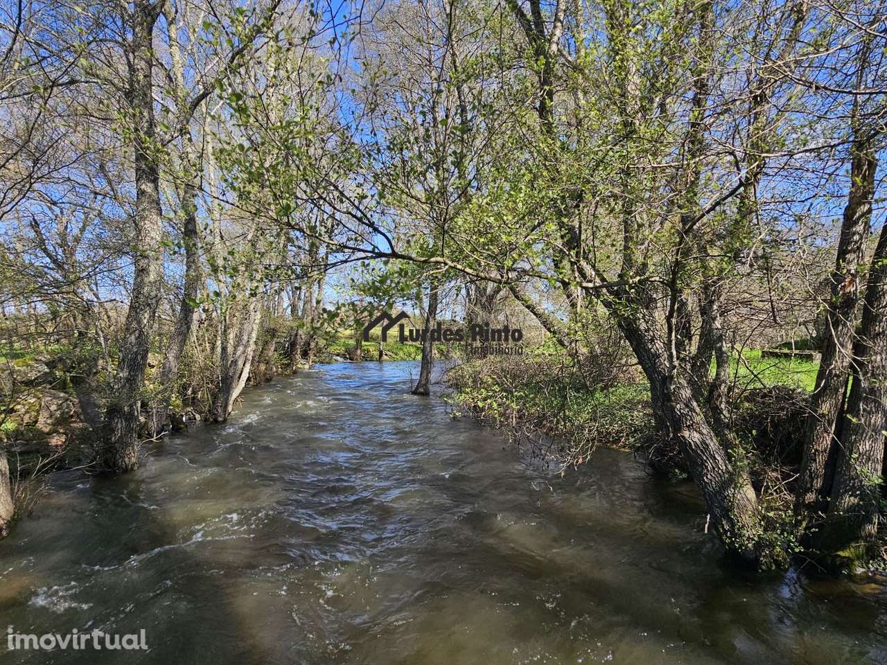 Quinta com casa á beira do Rio - Grande imagem: 4/19