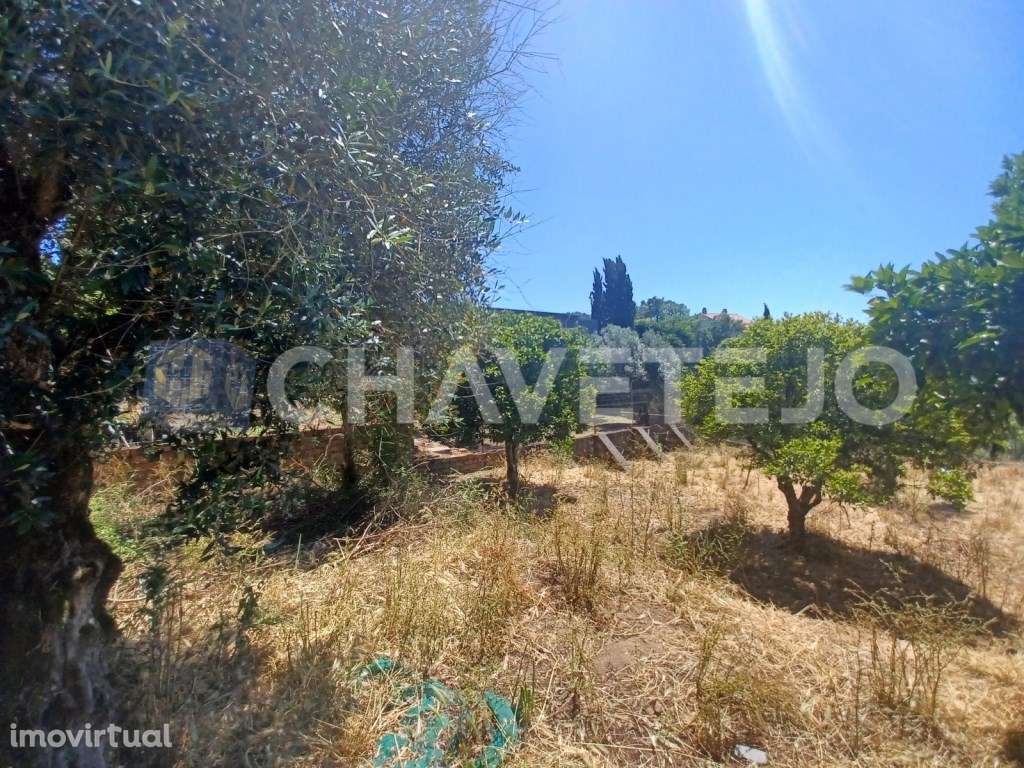 Terreno com 800 m2 perto da albufeira do Castelo do Bode. - Grande imagem: 4/7